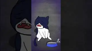 woof woof woof woof woof woof woof meow meow meow meow meow meow meow