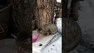 3 января 2026 г._Сбербанк 2202203654418625 Елена К. Kaspi +7 771 194 42 69 Глеб Т. WhatsApp.