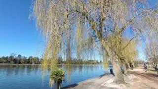 [4K] Walking along Allier river in Vichy, Allier, FRANCE