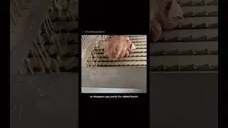 Meat factories pump water into their meat to make them bigger