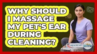 Why Should I Massage My Pet's Ear During Cleaning?