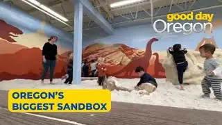 Dig up the fun at DiG PDX, Oregon's largest indoor sandbox