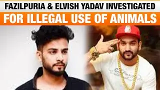 ED Investigates Fazilpuria & Elvish Yadav for Illegal Use of Protected Animals in Music Videos