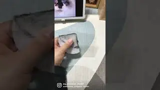 Making a cat portrait. 20+ hours of work in 30 seconds