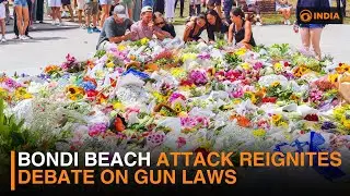 Bondi Beach attack reignites debate on gun laws