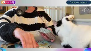 CAPRICORNIO! ESTO ES LO QUE NO PUEDES SEGUIR IGNORANDO..