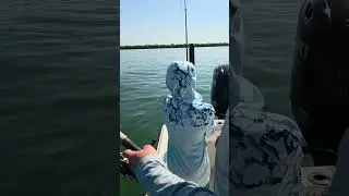 The Unbelievable Trout Fishing in Bradenton, Florida