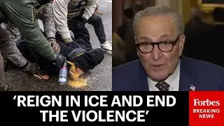 Chuck Schumer Blasts 'State-Sanctioned Thuggery' By ICE, Demands GOP Support Reforms