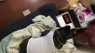 Bobby watched bad dog