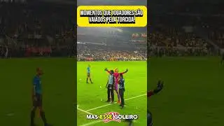 ⚽️😲 #futebol #futeboleuropeu #futebolbrasileiro #futebolraiz #momentos #torcida