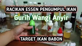 MERACIK ESSEN PENGUMPUL IKAN NILA TARGET BABON AROMA WANGI GURIH