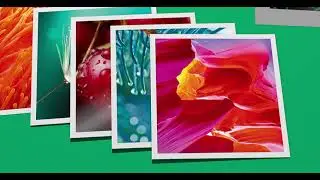 Cocoon Recycled Paper: It's up to you to help preserve the environment