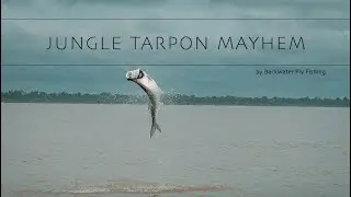 Jungle Tarpon Mayhem: Fly Fishing Costa Rica