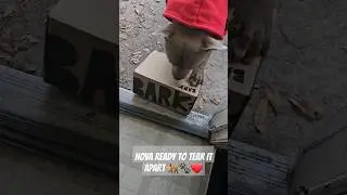 Nova Ready To Open His Bark Box🐕🐾❤️ #americanbullybreed #bullybreed #adorabledog