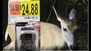 Best Budget Trail Camera - $25 - Setup with Video and Image Examples - Tasco Trail Camera