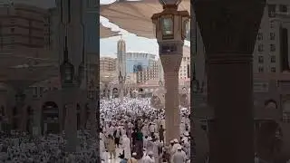 #hugecrowd #hajj2023 #masjidnabawi #shorts #ytshorts #haiderzulfiqar1