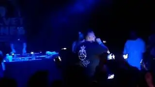 Ramirez The Grey Gorilla, Shakewell, Germ And Mikey The Magician In Santa Barbara CA, 2018