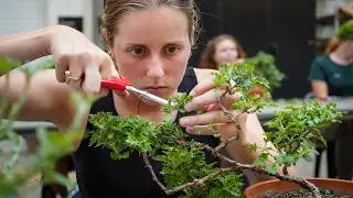 Professional Horticulture Program Informational Webinar &ndash; February 2026