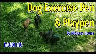 Dog Exercise Pen & Playpen by Midwest Homes