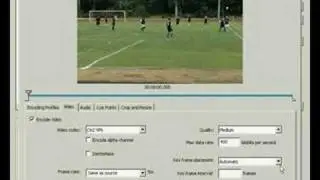 Flash converter