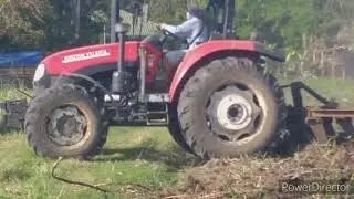 EP#98  sugarcane field | tractor | bird  #FULLHD1080p