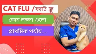 Cat flu detection & how to protect cats againts flu।ক্যাট ফ্লু দ্রুত বোঝার উপায় ও পূর্ব প্রস্তুতি।