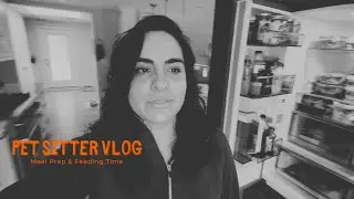 In the kitchen -  meal prep, feeding instructions & bad food reactions