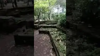 Huerta Medicinal