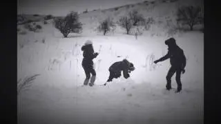 В засаде