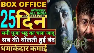 Chup 25th day box office collection,Sunny Deol interview,chup box office Collection,chup hit or flop