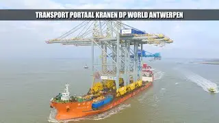 Transport Portaal Kranen DP World Antwerpen