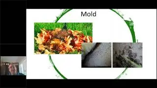 Environmental Impacts on a Healthy Home  How Location Affects Disease, Illness, and Wellness