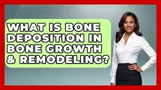 What Is Bone Deposition In Bone Growth & Remodeling? - All About Anatomy Answers