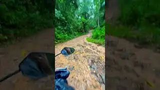 Scenic road-Up country #srilanka #travel #nature #upcountry