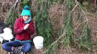 Boat Building With Natural Materials Part 1: Intro and Scavenger Hunt