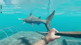 Stranded Deep 2023