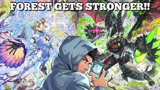 Special Event Marathon Continues! Day 2: Showcasing New White Forest Cards! | Yugioh Master Duel |
