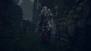 Первый раз прохожу Dark Souls 4  (Elden Ring) День 4