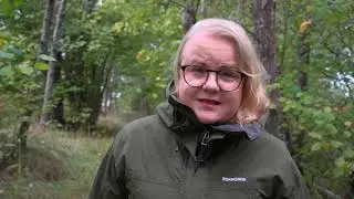 Informationss&auml;kerhetsm&aring;naden Vloggtober 2020