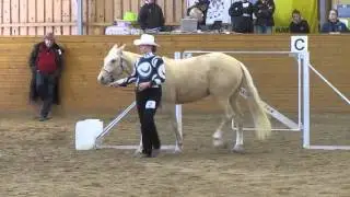 Trail At Hand D WRU Blueberry Cup 2013