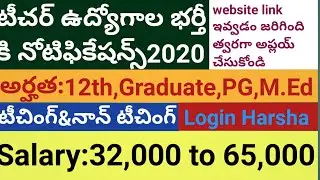 TS teacher job vacancy notification 2020|How to apply teacher jobs 2020|Latest Teacher jobs|Telugu