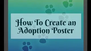 Create A Rescue Animal Adoption Poster Using Latigo