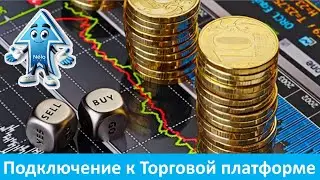 LIFEelevated - Подключение к торговой платформе Nelo Life