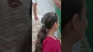 zambu zoo ma gumi gumi #trending #funny #funnyvideos #viralclips #viralvideo #shortvideos