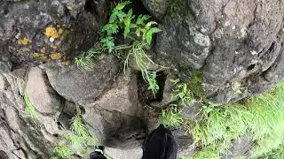 One of the Best Fort To Visit      #goproindia #travelworldwide