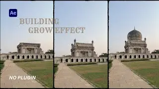 Building Grow Effect After Effects
