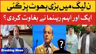 Shehbaz Sharif In Trouble | Another Important Leader Statement Against PMLN | Breaking News