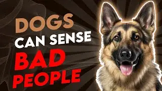 Scientists Confirm Dogs Can Sense Bad People