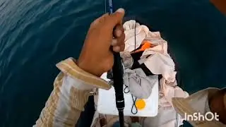 Record-Breaking Catch in Iran&rsquo;s Waters | Landing the Biggest Song Fish with Spinning