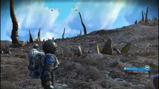 No Man's Sky　毛貝